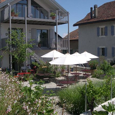 Le Coq Chantant Studios D'Hotes & Boutique Hotel St-Livres Saint-Livres Exterior foto