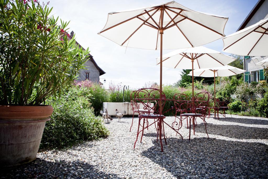 Le Coq Chantant Studios D'Hotes & Boutique Hotel St-Livres Saint-Livres Exterior foto